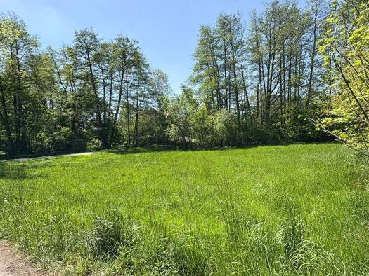 Grundstück zum Kauf 23.000 € 2.280 m² Grundstück Zschocken Hartenstein 08118