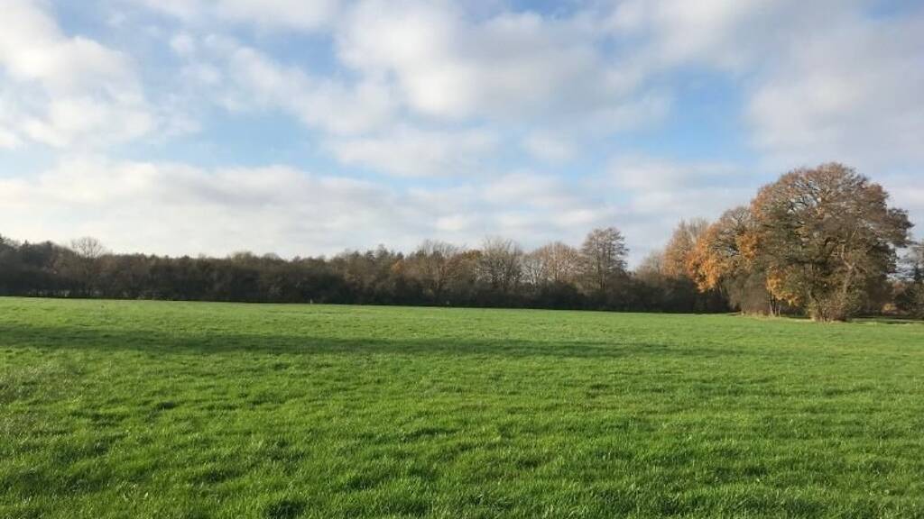 Land-/Forstwirtschaft zum Kauf 89.000 € 31.926 m² Grundstück Süddorf Edewecht 26188