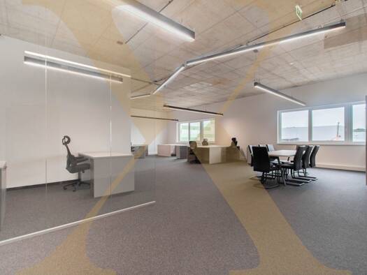 Büro zur Miete 4.050 € Asten 4481
