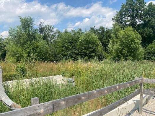 Grundstück zum Kauf 97.830 € 1.087 m² Grundstück Pettenbach 2640