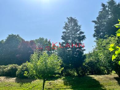Grundstück zum Kauf 925.000 € 2.500 m² Grundstück Haselau 25498