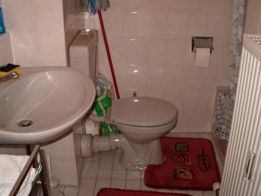 Wohnung zur Miete 450 € 1 Zimmer 31 m² 4. Geschoss Markgrafenstr. 2/2 Schwetzingen 68723