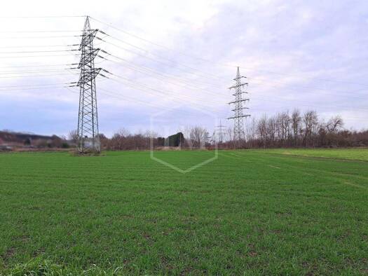 Landwirtschaftliche Fläche zum Kauf 18.000 € 1.975 m² Grundstück Stadtmitte Grevenbroich 41515