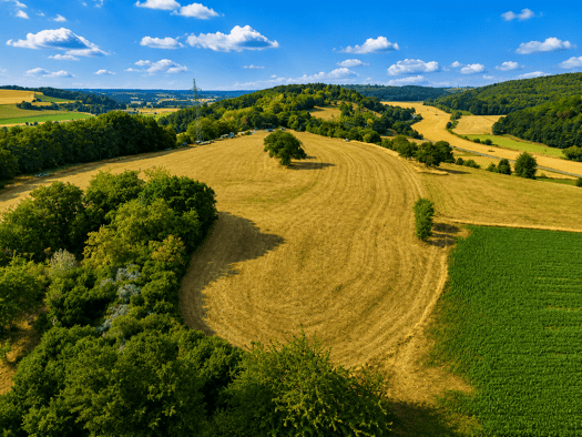 Grundstück zum Kauf 259.000 € 1.001 m² Grundstück Ranstadt Ranstadt 63691
