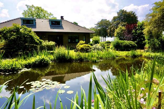 Bungalow zum Kauf 425.000 € 5 Zimmer 131,1 m² 5.000 m² Grundstück frei ab 01.06.2025 Waldstraße 45 Hau Bedburg-Hau 47551