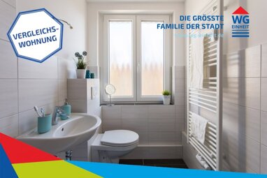 Wohnung zur Miete 335 € 3 Zimmer 59,5 m² 3. Geschoss Scharfensteiner Str. 21 Altchemnitz 412 Chemnitz 09120