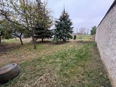 Haus zur Miete 250 € 1 Zimmer 9 m² Zechin Zechin 15328