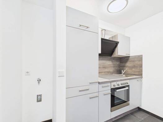 Studio zur Miete 550 € 1 Zimmer 22 m² 3. Geschoss frei ab sofort Allersberger Straße 88 Galgenhof Nürnberg 90461