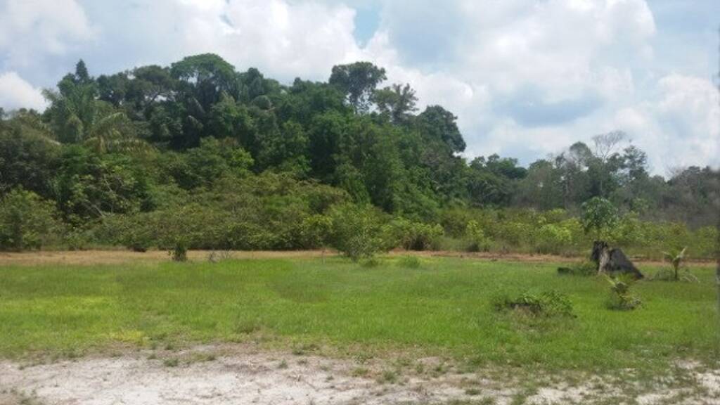 Grundstück zum Kauf 38.900 € 9.000.000 m² Grundstück Silves 69074765