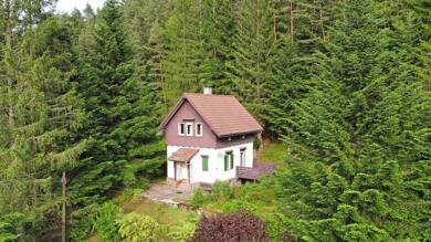 Einfamilienhaus zum Kauf 230.000 € 3,5 Zimmer 70 m² 2.276 m² Grundstück Ehlenbogen Alpirsbach 72275