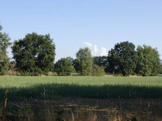 Grundstück zum Kauf provisionsfrei 76.080 € 634 m² Grundstück frei ab sofort Gallinchen Cottbus 03051