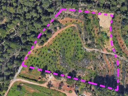 Grundstück zum Kauf 2.000.000 € 16.165 m² Grundstück Jesus 387800