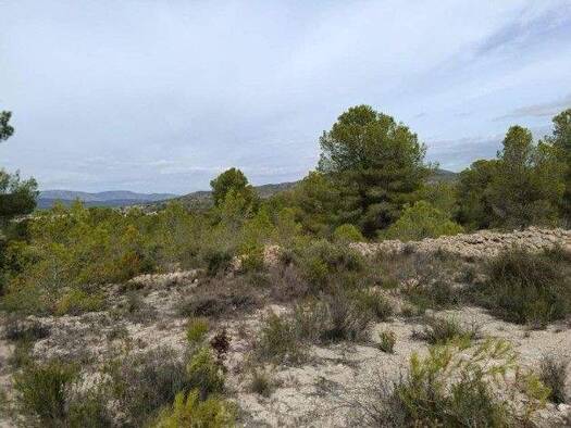 Grundstück zum Kauf 55.000 € 31.668 m² Grundstück Monovar 03640