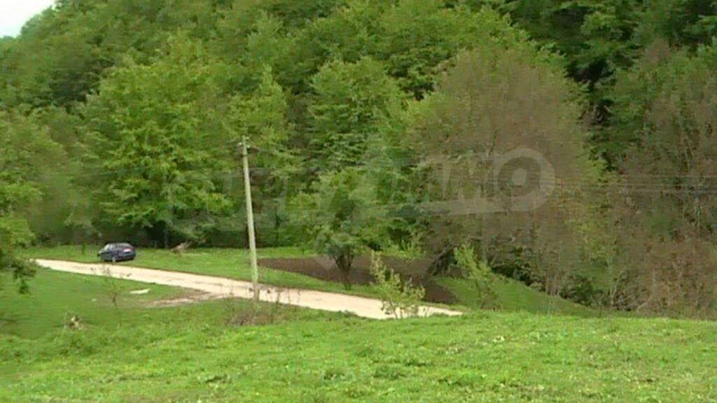 Grundstück zum Kauf 65.000 € Ribaritsa