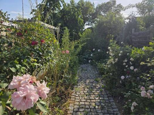 Wohnung zur Miete 1.190 € 3 Zimmer 115 m² EG frei ab 01.09.2026 Sennfeld 97526