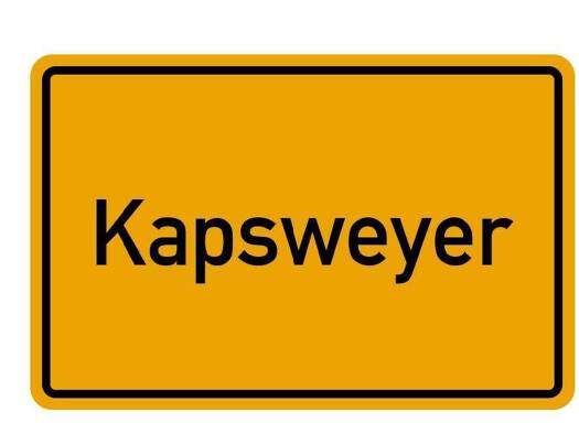 Einfamilienhaus zum Kauf 128.000 € 3 Zimmer 89,9 m² 585 m² Grundstück Kapsweyer 76889