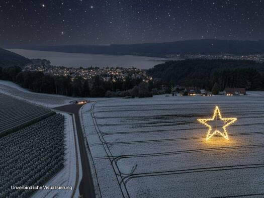 Haus zum Kauf 6.280.000 € 17 Zimmer 721 m² 665.000 m² Grundstück Ludwigshafen Bodman-Ludwigshafen 78351