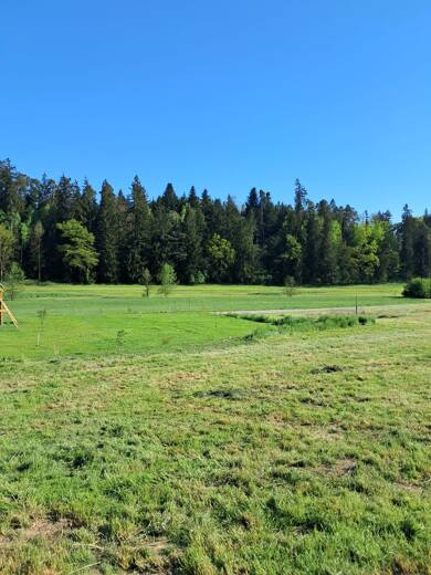 Grundstück zum Kauf provisionsfrei 310.000 € 960 m² Grundstück Moosen Halsbach 84553