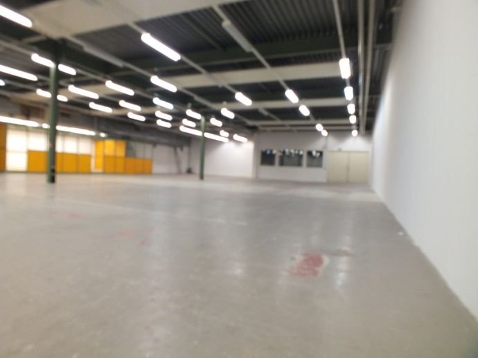 Lagerhalle zur Miete 3.950 € 850 m²<br/>Lagerfläche Gewerbestr. 10 Gottmadingen Gottmadingen 78244