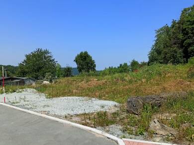 Einfamilienhaus zum Kauf provisionsfrei 333.500 € 5 Zimmer 138 m² 810 m² Grundstück Dittersdorf Amtsberg 09439