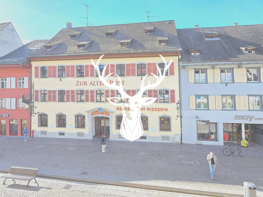 Büro zur Miete 2.000 € 411 m² Bürofläche teilbar ab 204 m² Waldshut Waldshut-Tiengen 79761