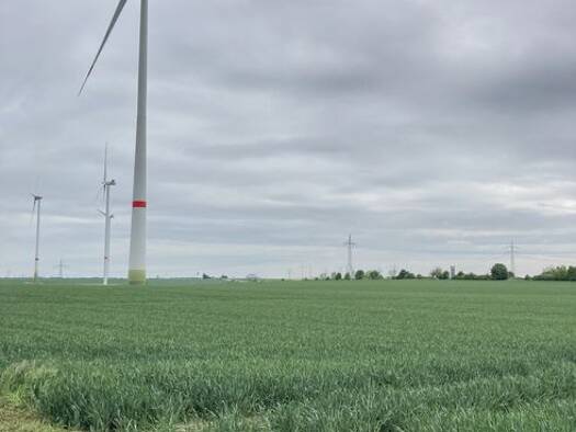 Landwirtschaftliche Fläche zum Kauf 113.368 m² Grundstück Obernessa Teuchern 06682