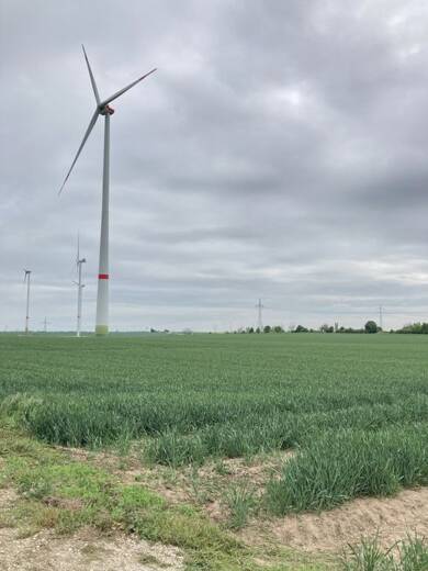 Landwirtschaftliche Fläche zum Kauf 113.368 m² Grundstück Obernessa Teuchern 06682