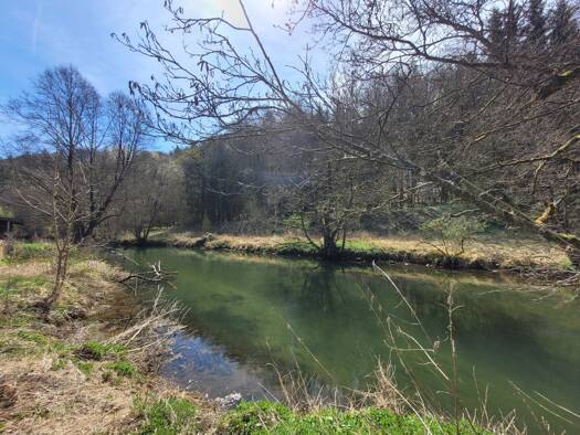 Forstwirtschaft zum Kauf 12.000 € 10.220 m² Grundstück Vorra Vorra / Artelshofen 91247