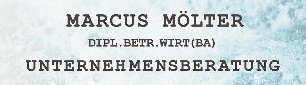 Marcus Mölter, Unternehmensberatung