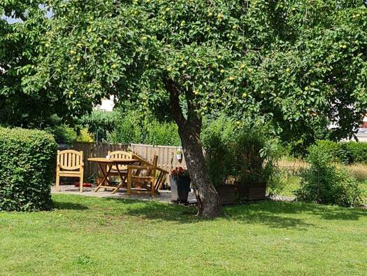 Studio zur Miete 270 € 1 Zimmer frei ab 01.04.2026 Neuruppin 16816