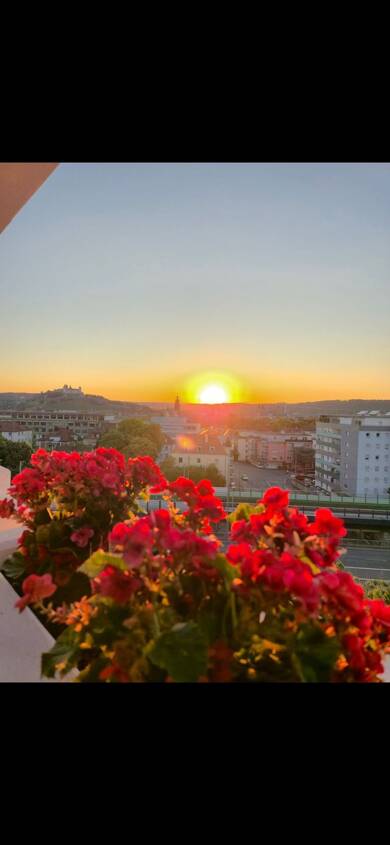 Wohnung zur Miete 690 € 1 Zimmer 37 m² Geschoss 5/5 frei ab 01.09.2025 Frauenland Würzburg 97074