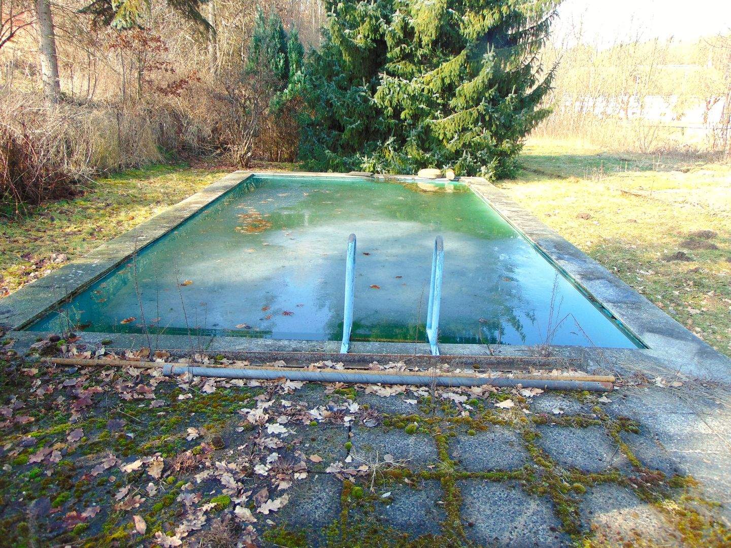 Immobilie in Königshain-Wiederau - ***Für Kinder und Tiere erlaubt!!! - Bild 3