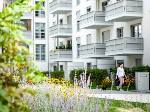 Wohnung zur Miete 2.150 € 3 Zimmer 81 m² 1. Geschoss Thalk.Obersendl.-Forsten-Fürstenr.-Solln München 81369