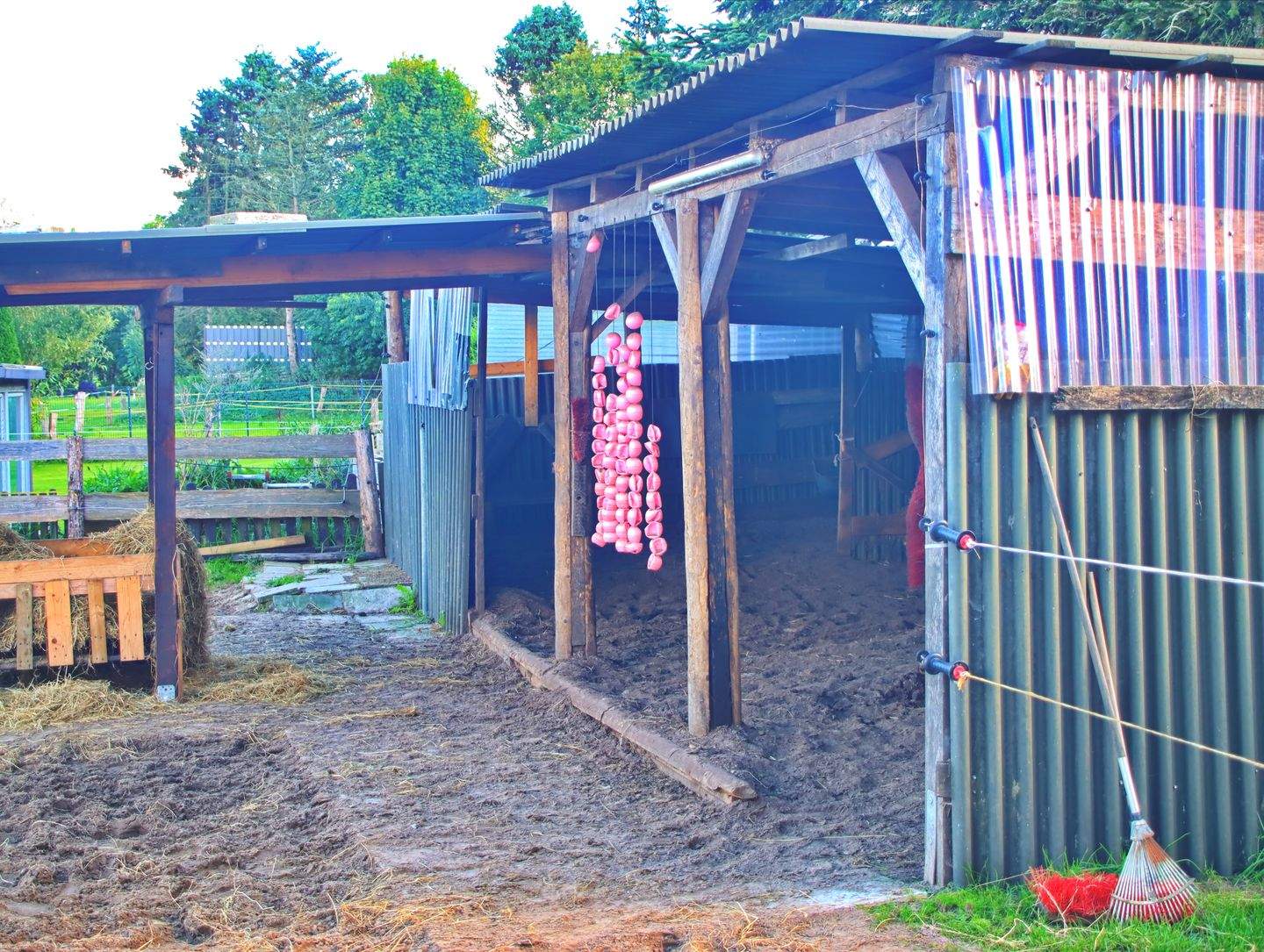 Immobilie in Schalkholz - Bezugsfreier Resthof  in 25782 Schalkholz,Nähe Heide,Nordsee - Bild 4