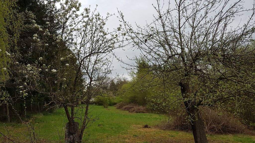 Grundstück zum Kauf provisionsfrei 85.000 € 1.605 m² Grundstück Galgenbergsteige Flurstück 1447 Stammheim Calw 75365