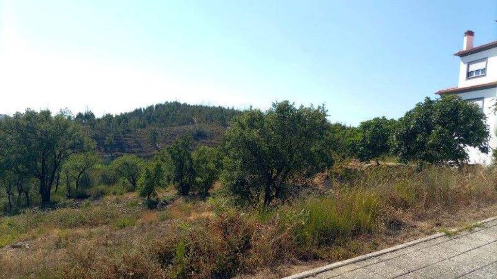 Grundstück zum Kauf 38.520 € 1.039 m² Grundstück Mação