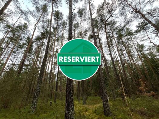 Land-/Forstwirtschaft zum Kauf 69.000 € 19.868 m² Grundstück Pyrbaum Pyrbaum / Dennenlohe 90602