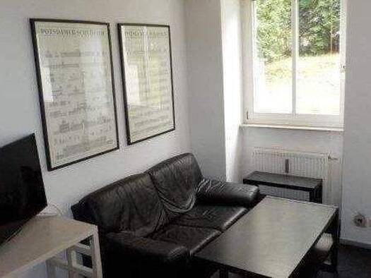 Wohnung zur Miete auf Zeit 350 € 32 m² frei ab 15.07.2026 Bergmannstraße 11 Striesen-Ost Dresden 01309