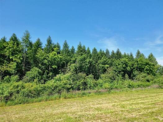Grundstück zum Kauf provisionsfrei 199.000 € 1.111 m² Grundstück frei ab 01.10.2025 Chemnitz 09128