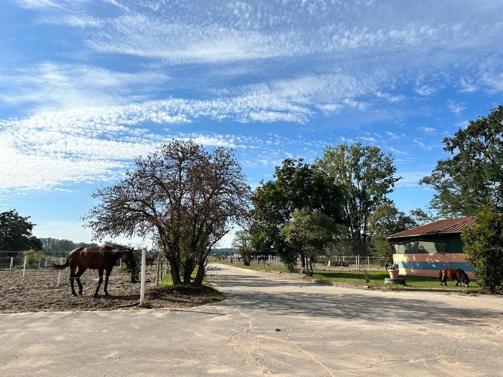 Reiterhof zum Kauf 134.000 m²<br/>Grundstück Pausin Schönwalde-Glien 14621