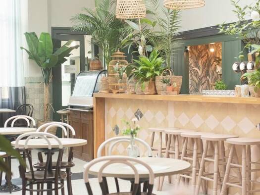 Ladenfläche zur Miete 340 m² Verkaufsfläche teilbar ab 340 m² Dresden 01067