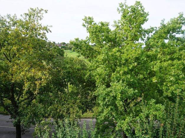 Wohnung zum Kauf provisionsfrei 219.000 € 2 Zimmer 58 m² 3. Geschoss Kiebitzweg 16 Kirchheim Kirchheim Teck 73230