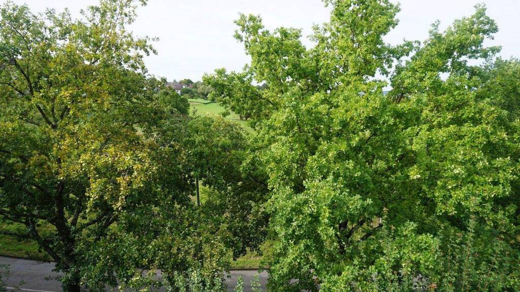 Wohnung zum Kauf provisionsfrei 219.000 € 2 Zimmer 58 m² 3. Geschoss Kiebitzweg 16 Kirchheim Kirchheim Teck 73230