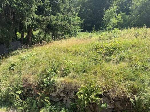 Grundstück zum Kauf 29.000 € 996 m² Grundstück Goldlauter Suhl 98528