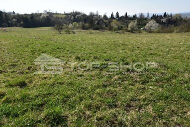 Land-/Forstwirtschaft zum Kauf 90.000 € Podsused