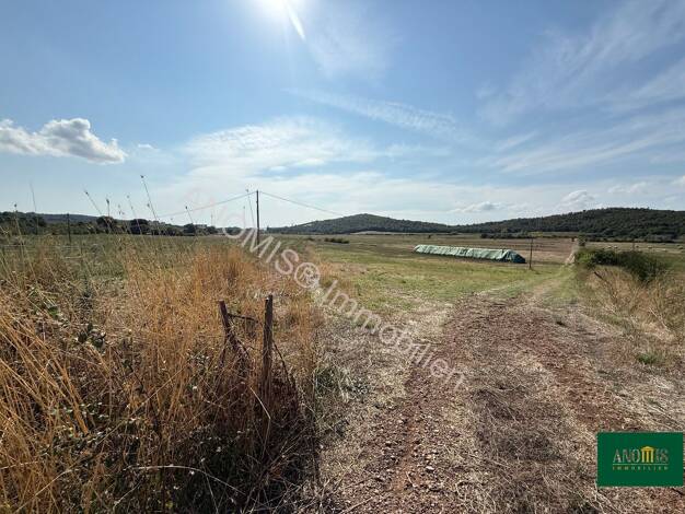 Grundstück zum Kauf 290.000 € 100.000 m² Grundstück Massa Marittima 58024