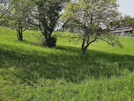 Grundstück zum Kauf 180.000 € 797 m² Grundstück Gratwein-Straßengel 8112