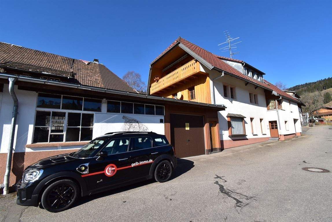 Immobilie in Todtmoos - Aufgepasst - 3 Familienhaus mit Gewerbehalle in Todtmoos! - Bild 0