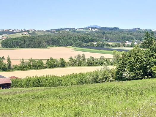 Grundstück zum Kauf 95.000 € 1.036 m² Grundstück Sankt Ruprecht an der Raab 8181