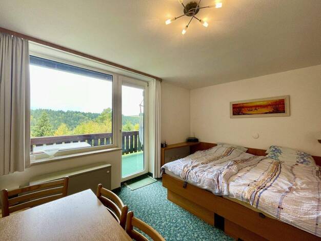 Studio zum Kauf 31.900 € 1 Zimmer 31 m² 1. Geschoss Böhmischbruck Vohenstrauß 92648